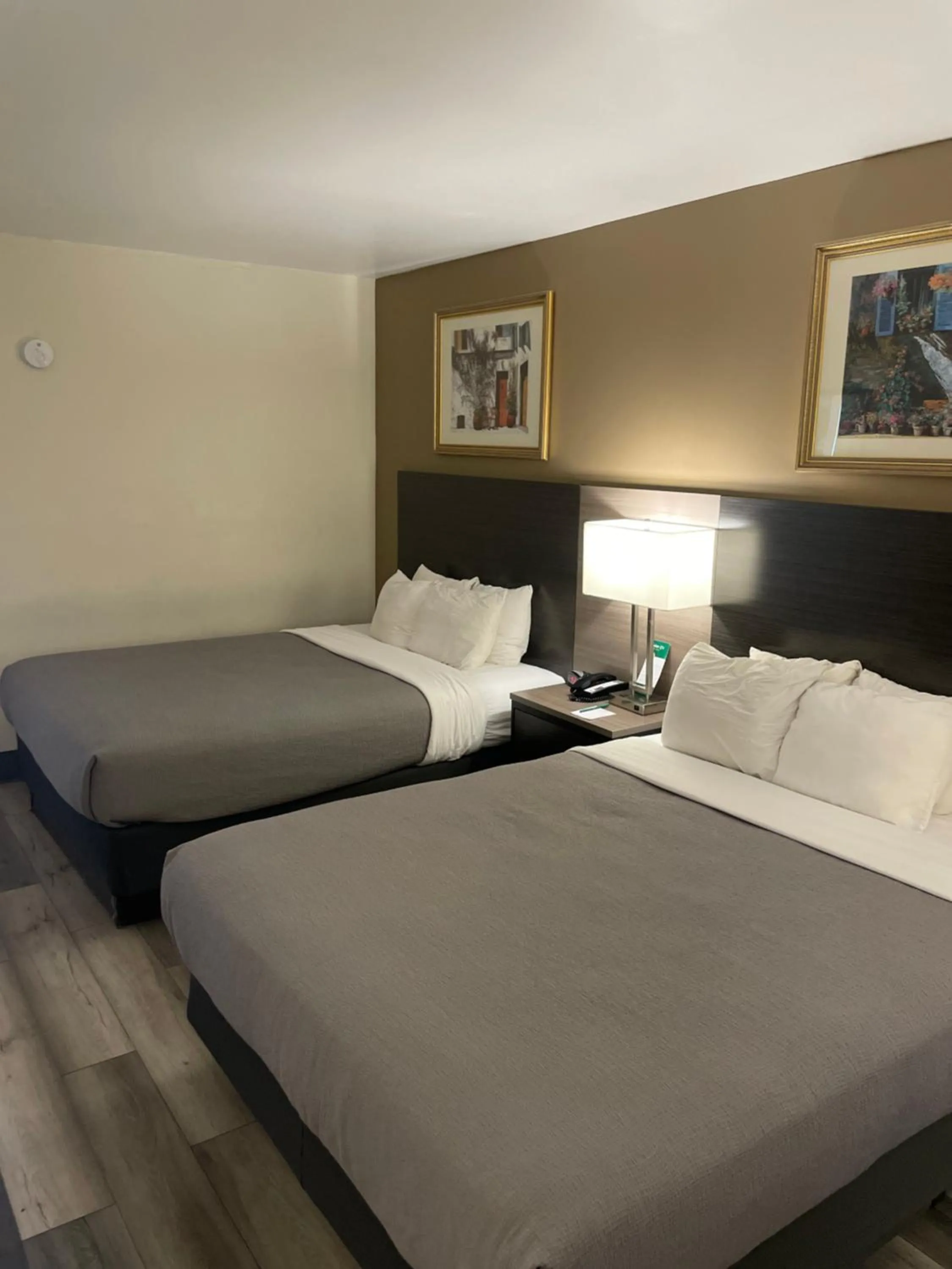 Queen Room with Two Queen Beds - Non-Smoking/Pet Friendly in Quality Inn & Suites Goodyear - Phoenix West