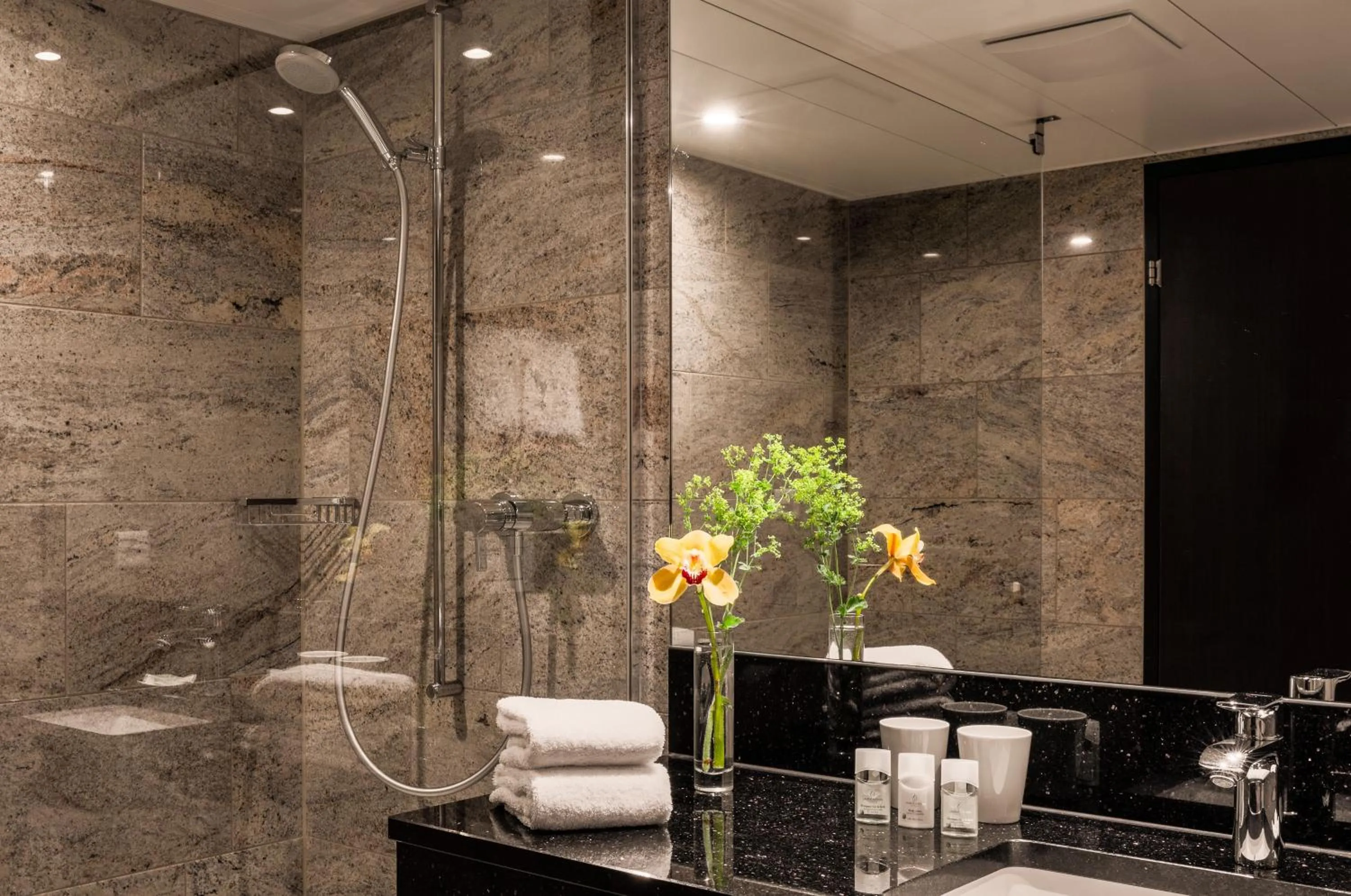 Standard King Room in Hotel Astoria