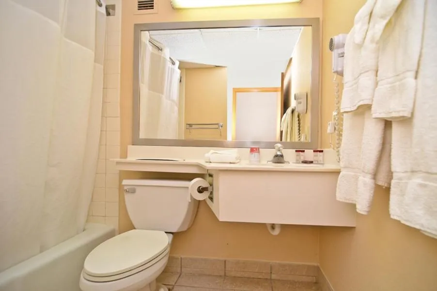 King Room - Disability Access in Pocono Resort & Conference Center - Pocono Mountains