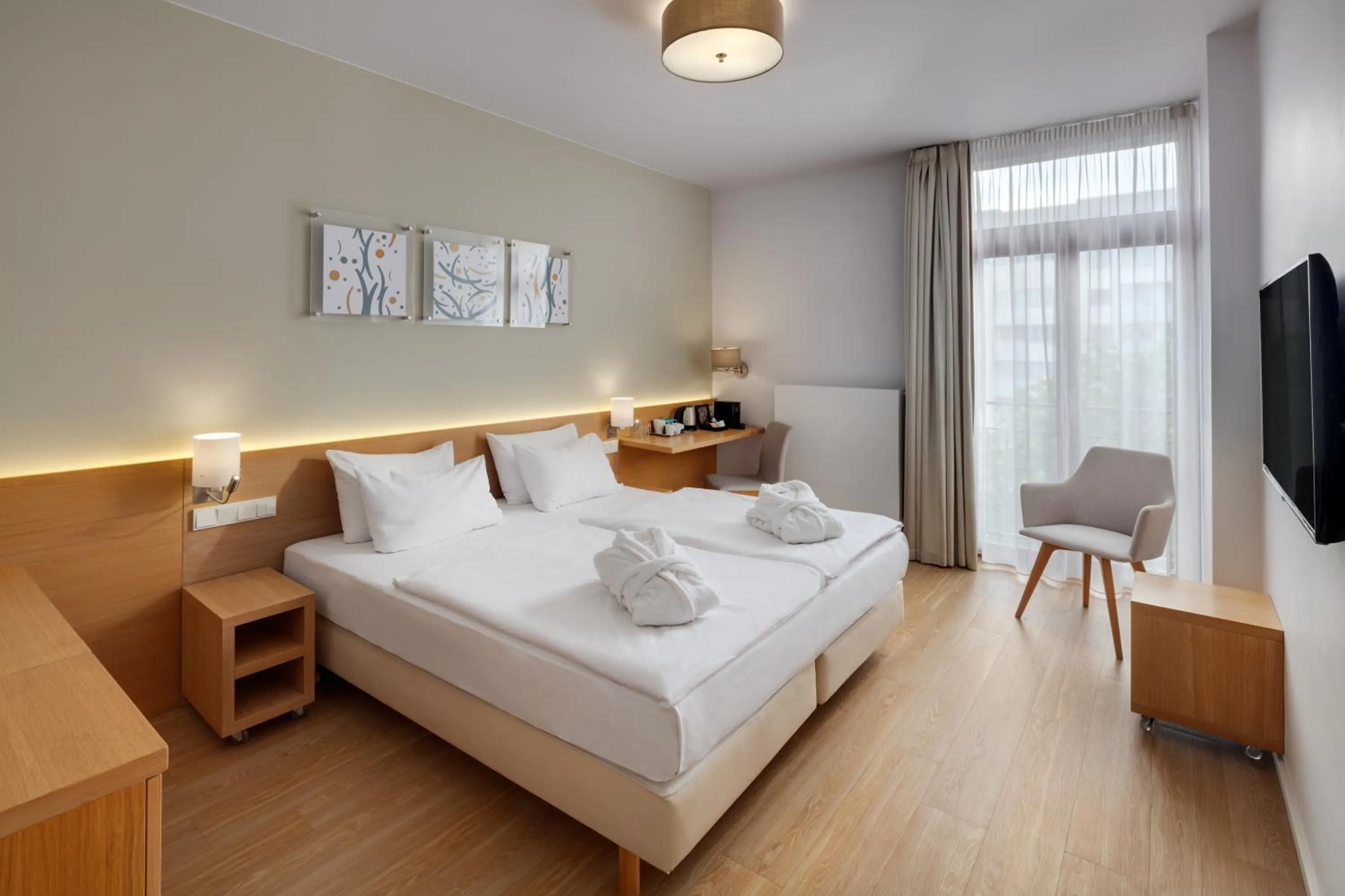 Executive Double Room in Hotel Carol