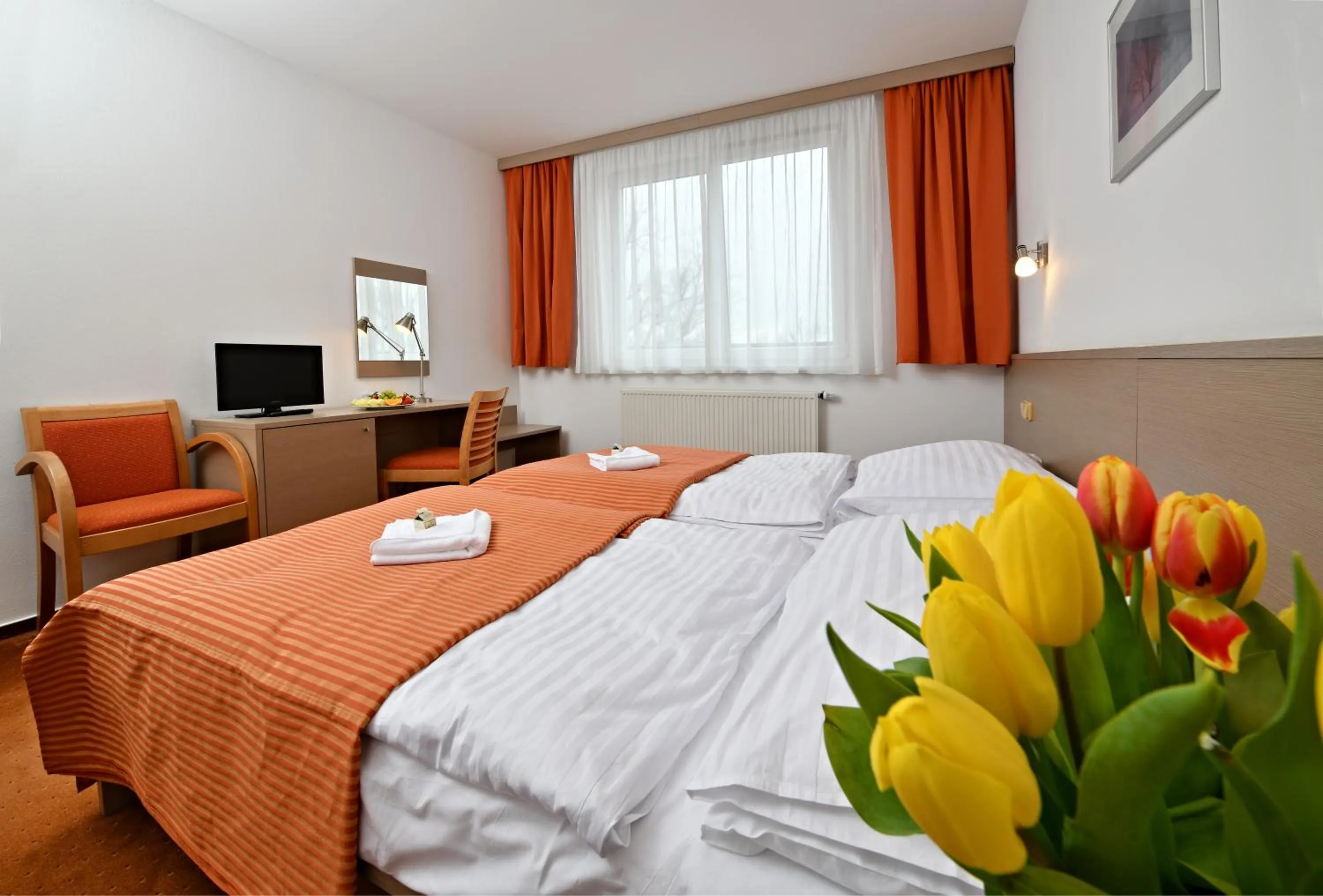 Double Room - single occupancy in LH Parkhotel Hluboka Nad Vltavou Congress & Wellness