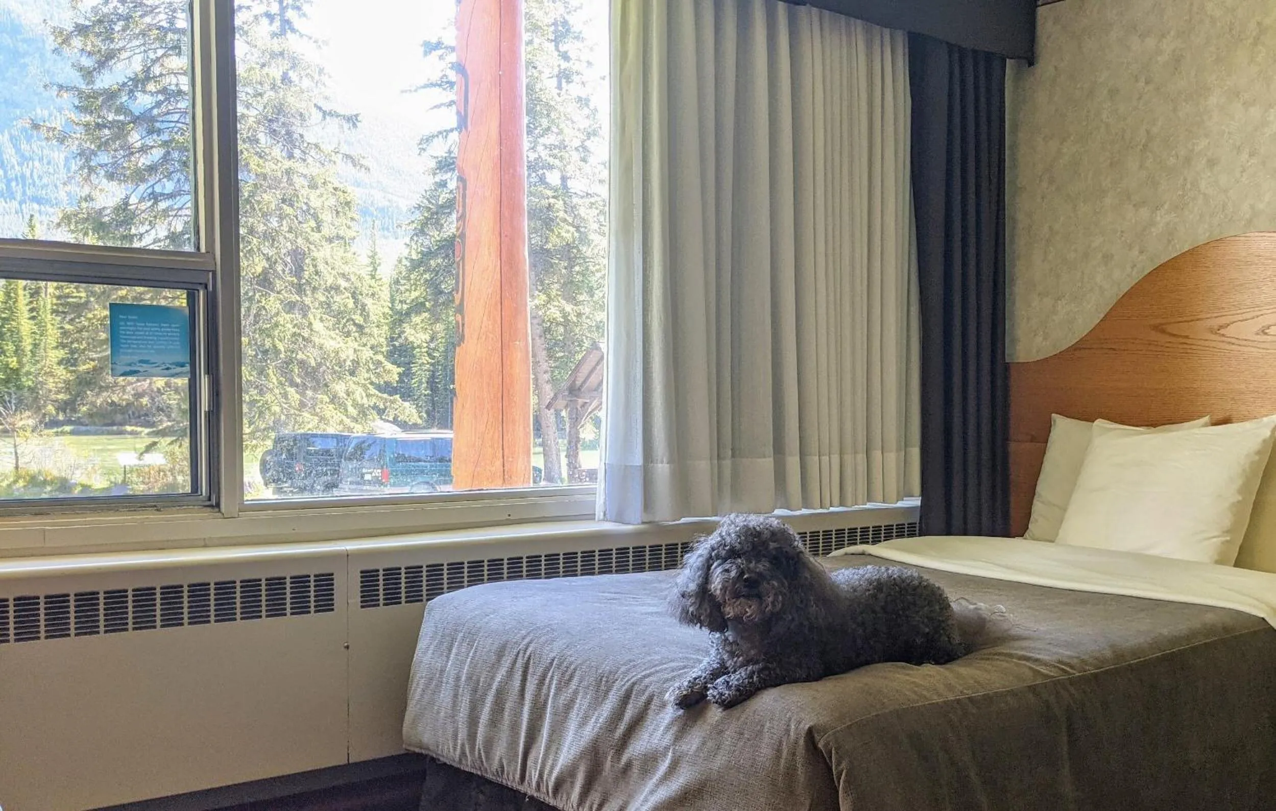 Double Room with Two Double Beds - Pet Friendly in Bow View Lodge