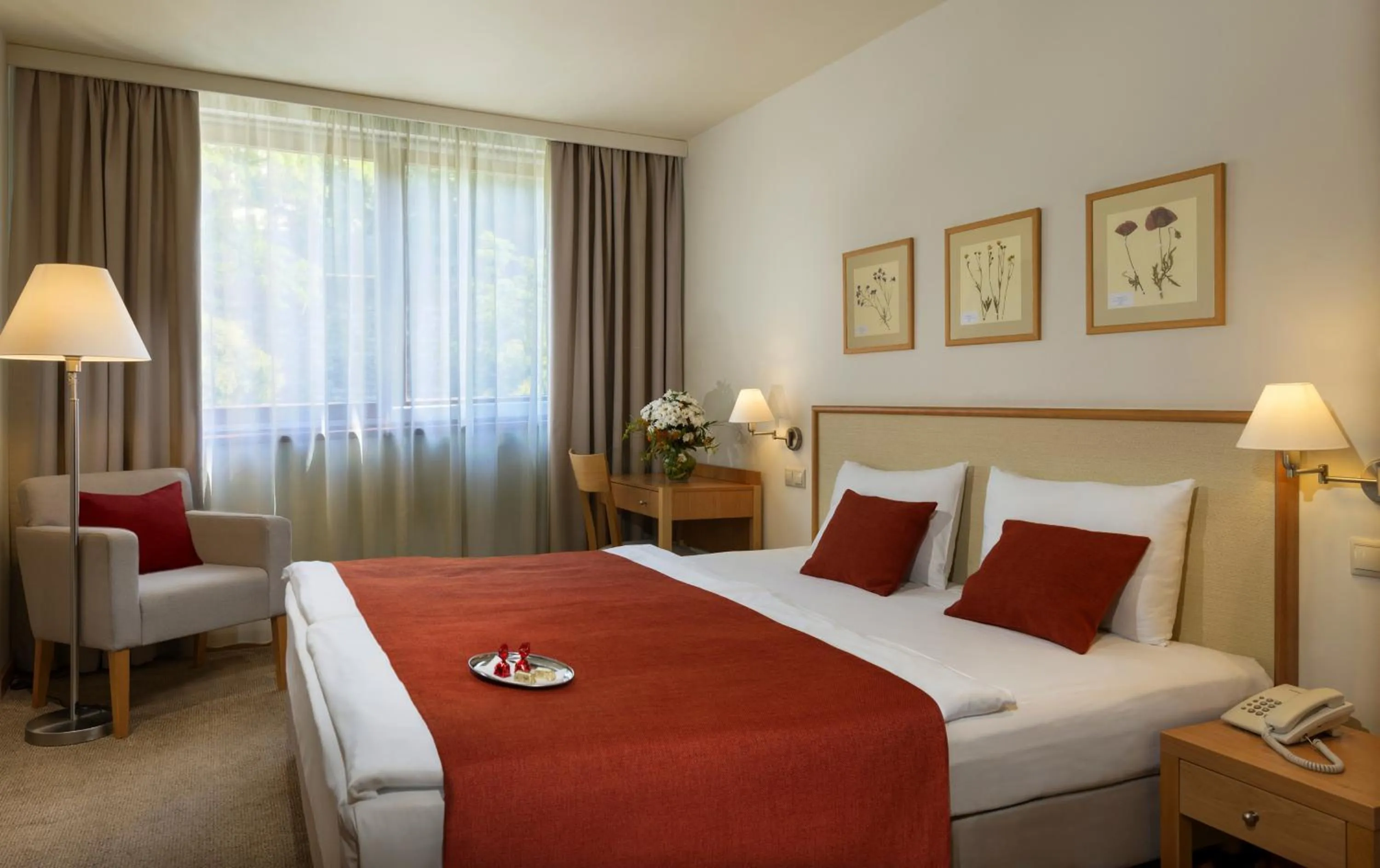 Budget Double Room in Hotel Castle Garden