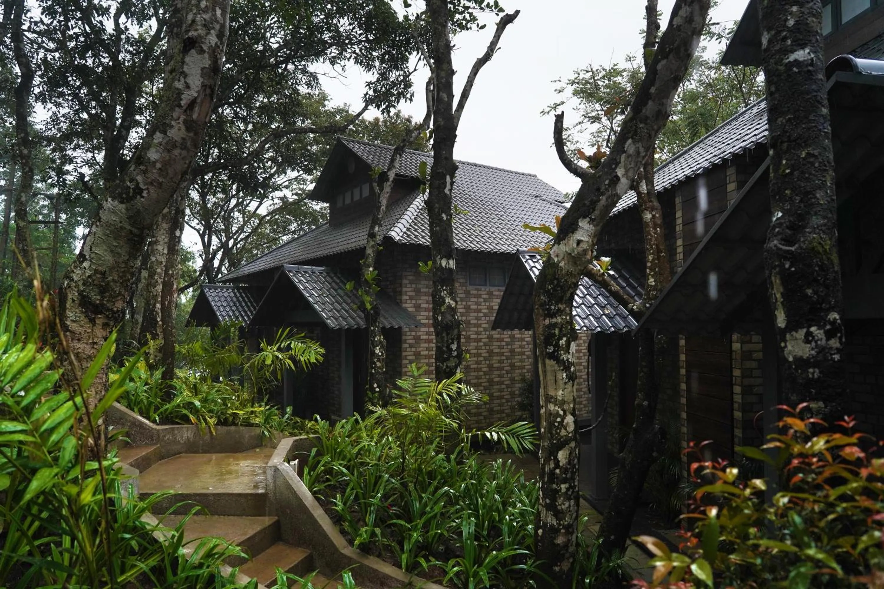 Property building in Elephant Passage