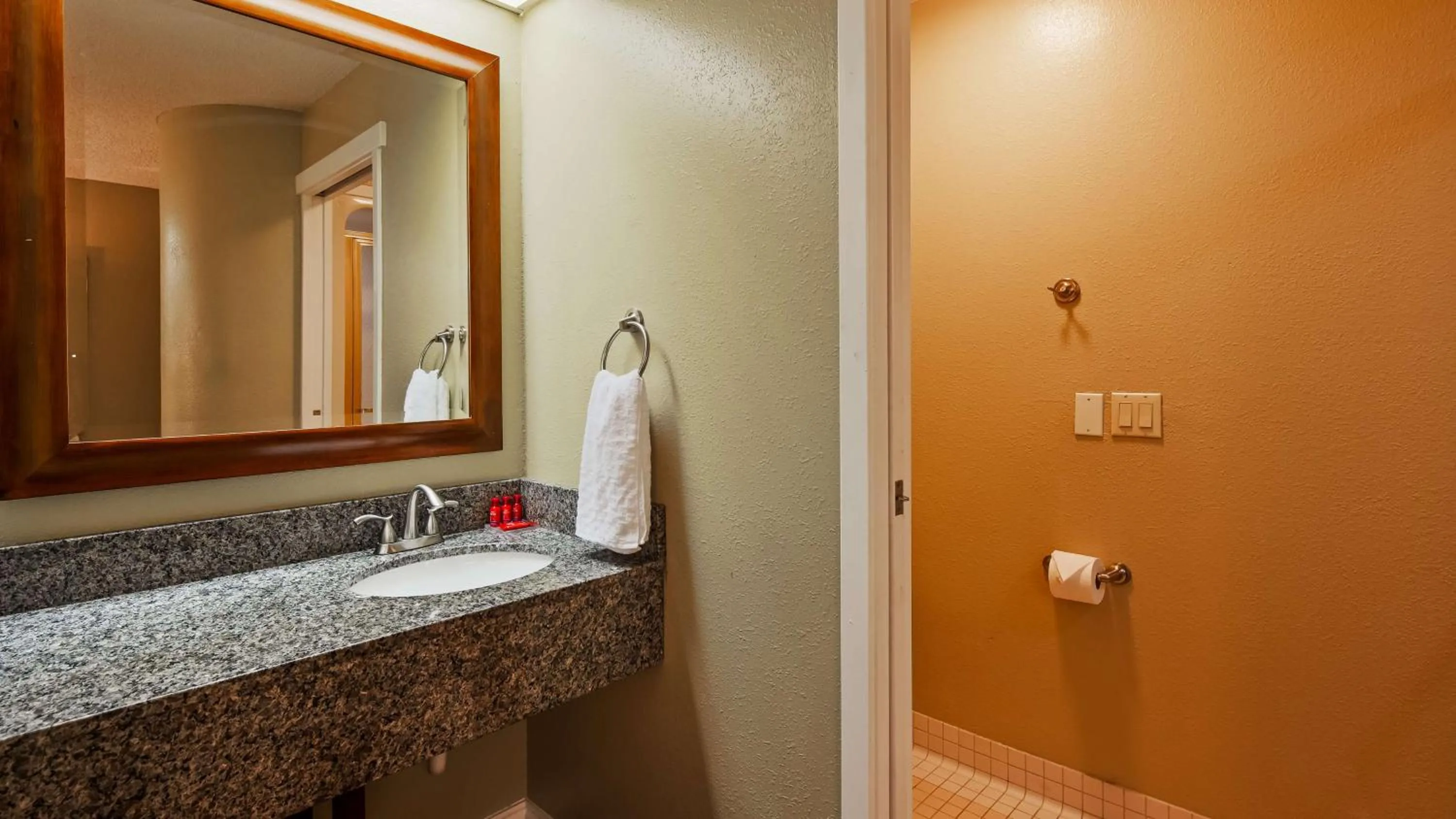 Bathroom in Denver North Hotel