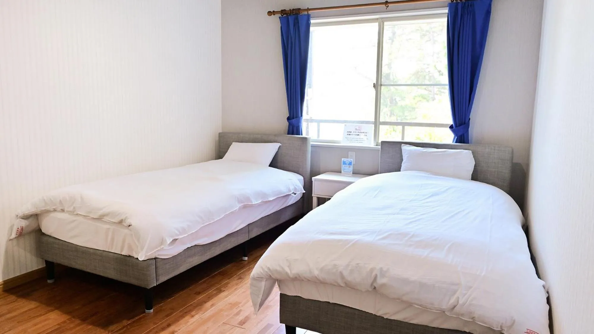 Twin Room - single occupancy in Biwa-Lakeside Cottage B B Dylan