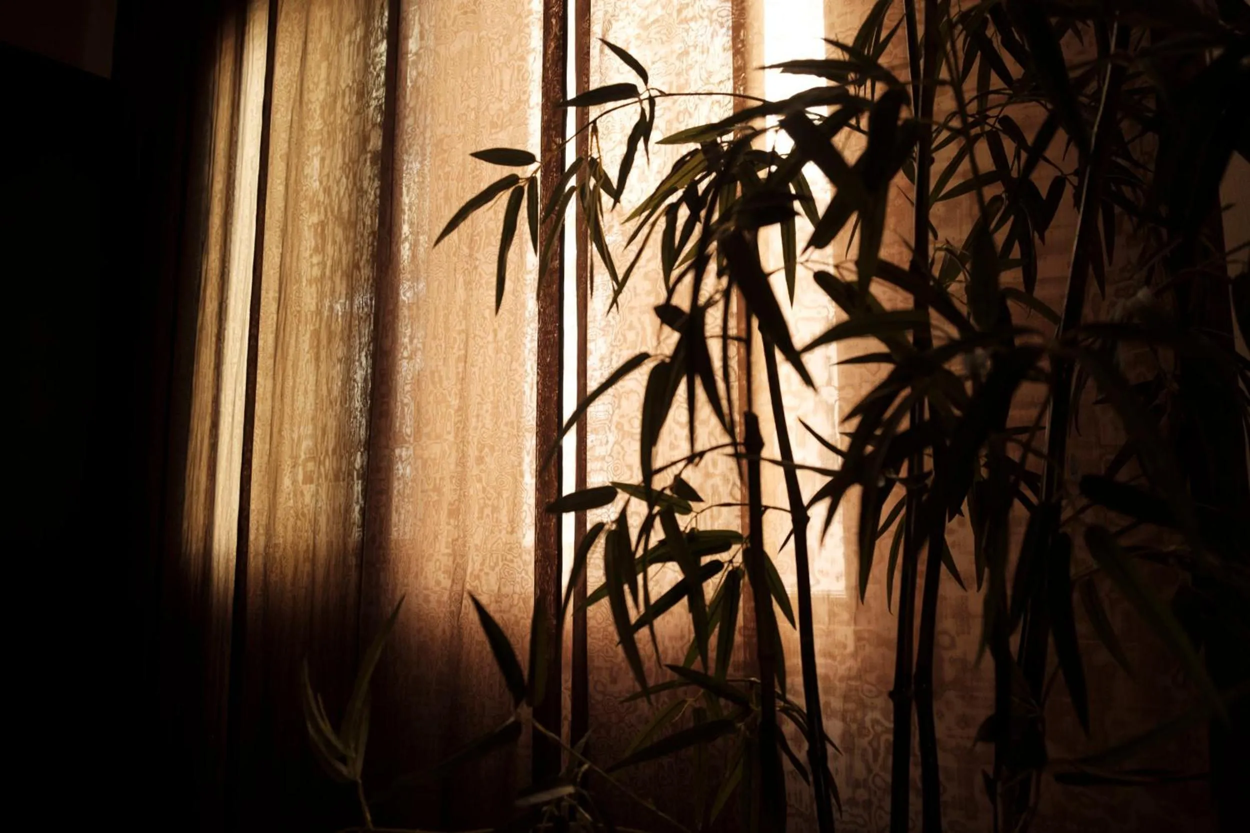 Deluxe Double Room in Ca' Pozzo Inn