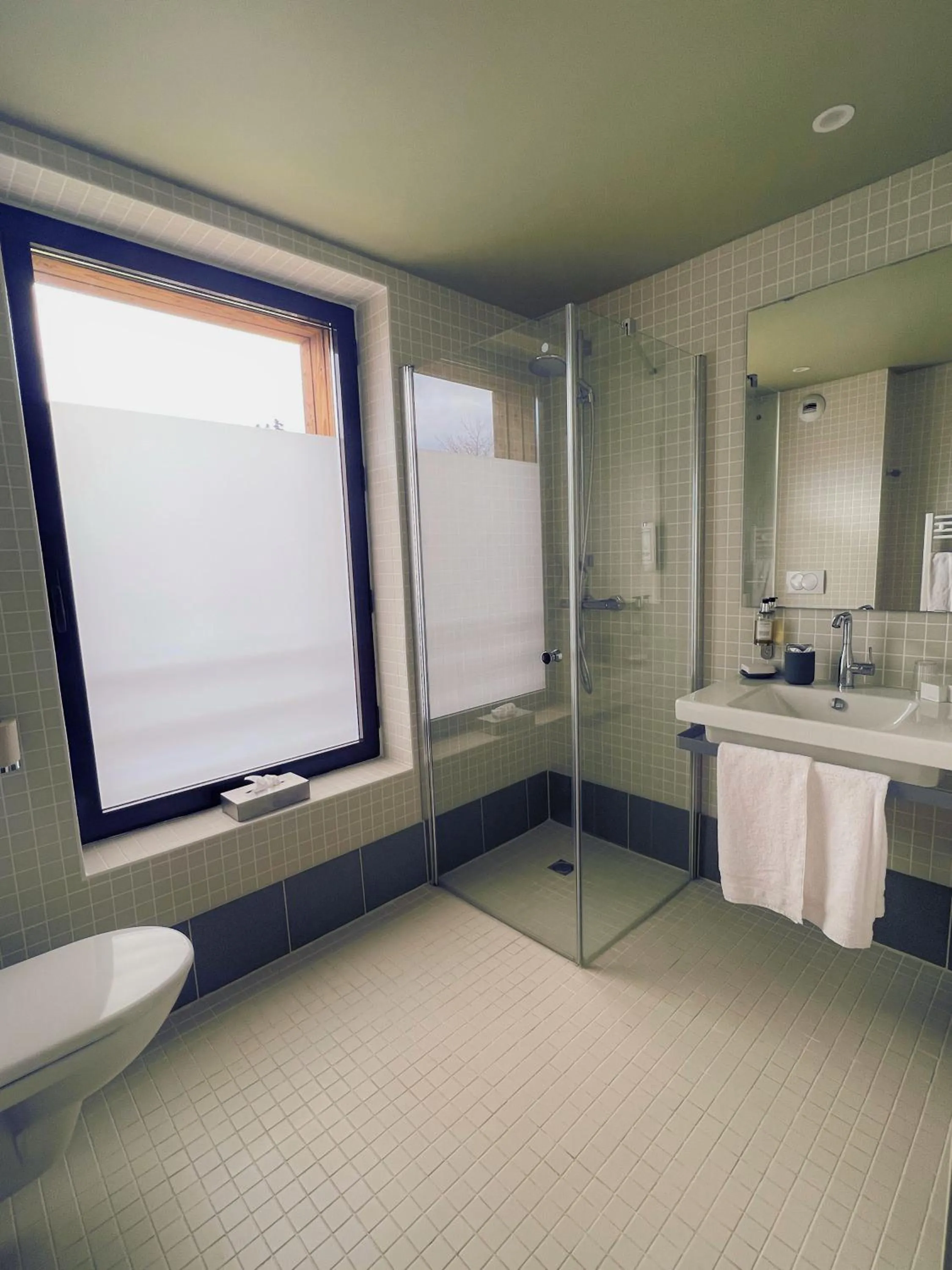 Junior Suite in Logis Hôtel Altitude et Spa Pierre-Percée