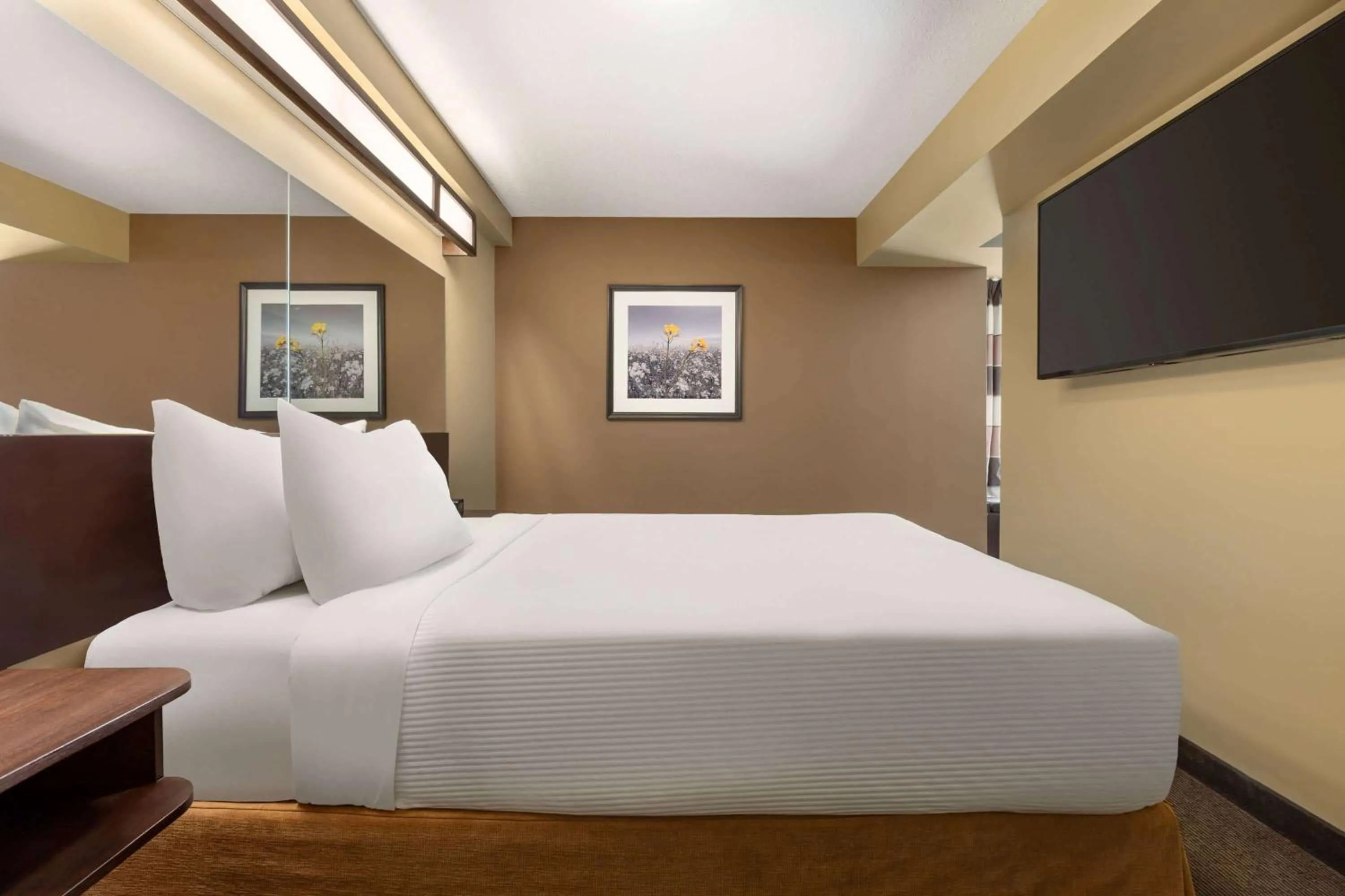 1 Queen Bed, Studio Suite w/ Sofa Bed, Non-Smoking in Microtel Inn and Suites by Wyndham Weyburn