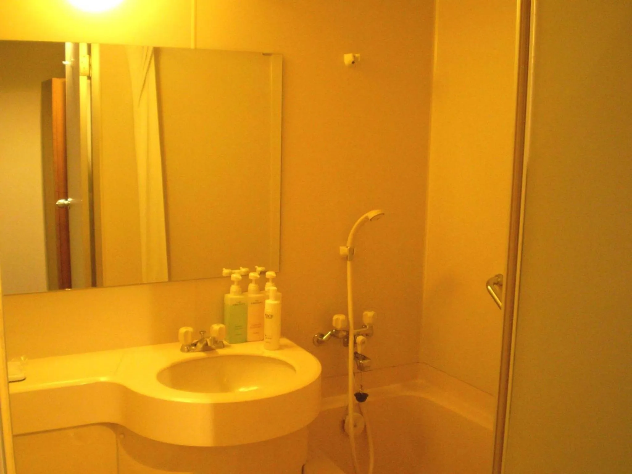 Twin Room - single occupancy - Non-Smoking in Shingu UI Hotel