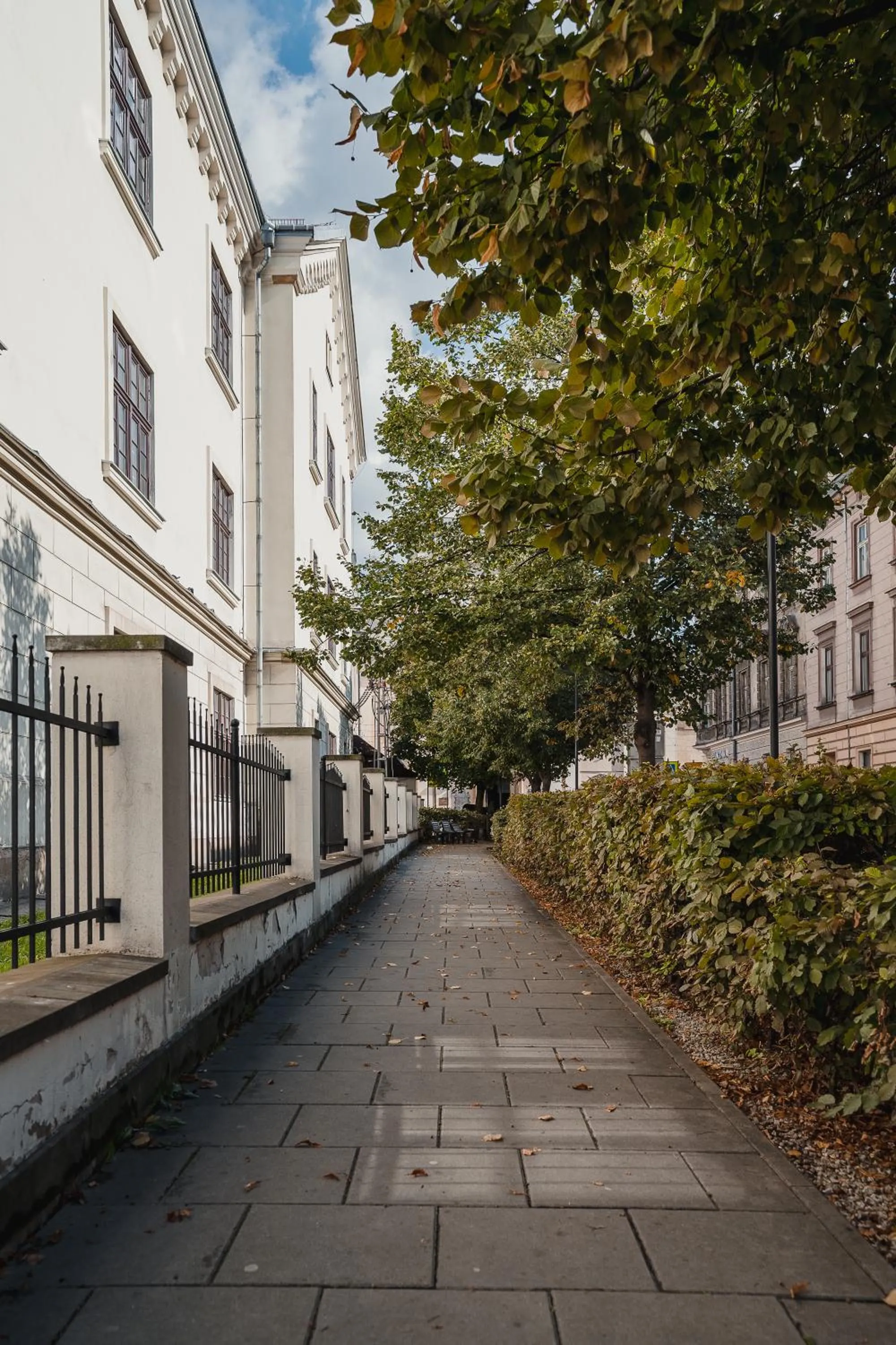 Deluxe Double Studio - single occupancy in H11 Aparthotel