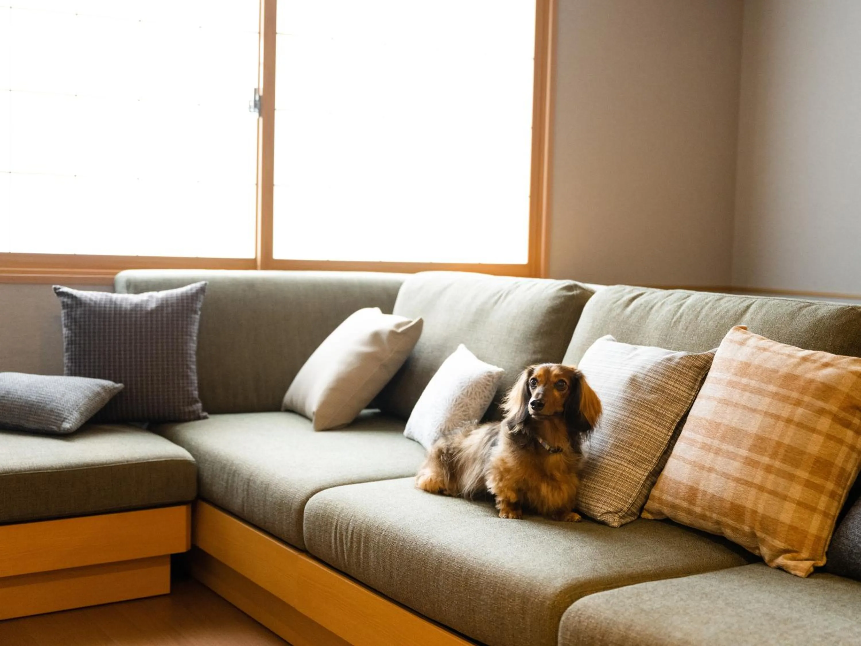 Dog-Friendly Suite with Living Room Sofa in MIMARU SUITES Tokyo Asakusa