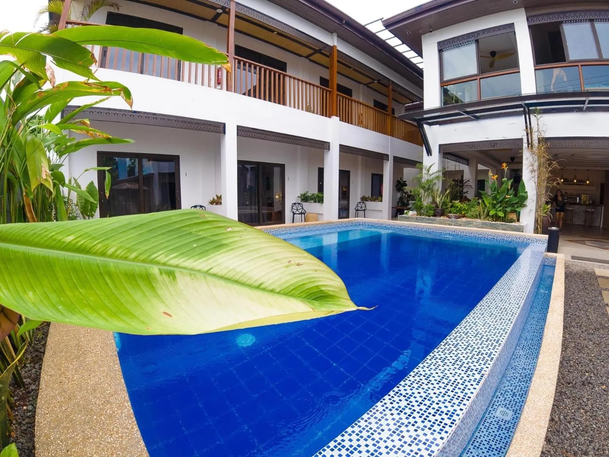 Double or Twin Room in Azul de Panglao Hotel