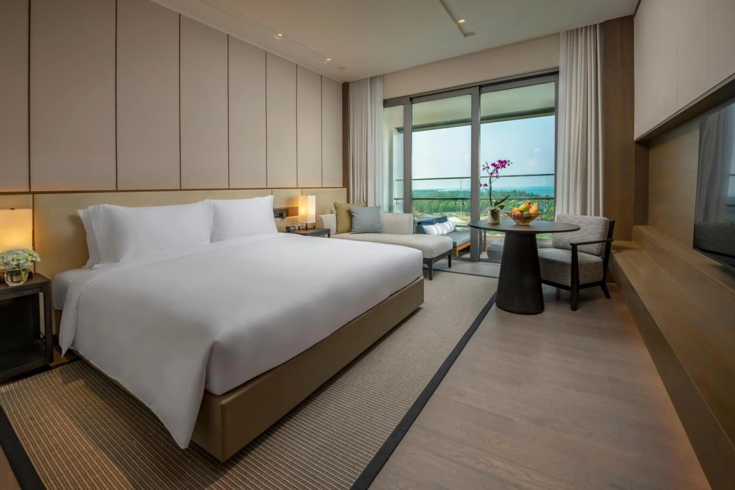 Studio King in Hoiana Residences