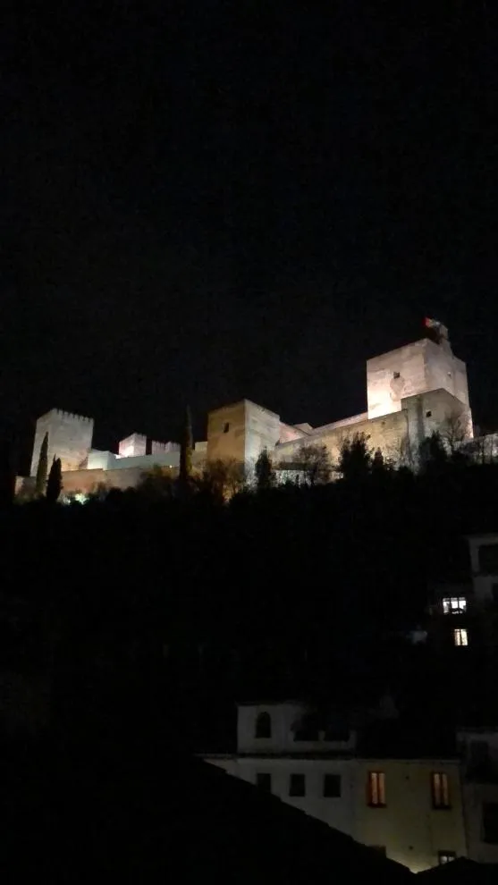 Junior Suite in Hotel Rosa De oro