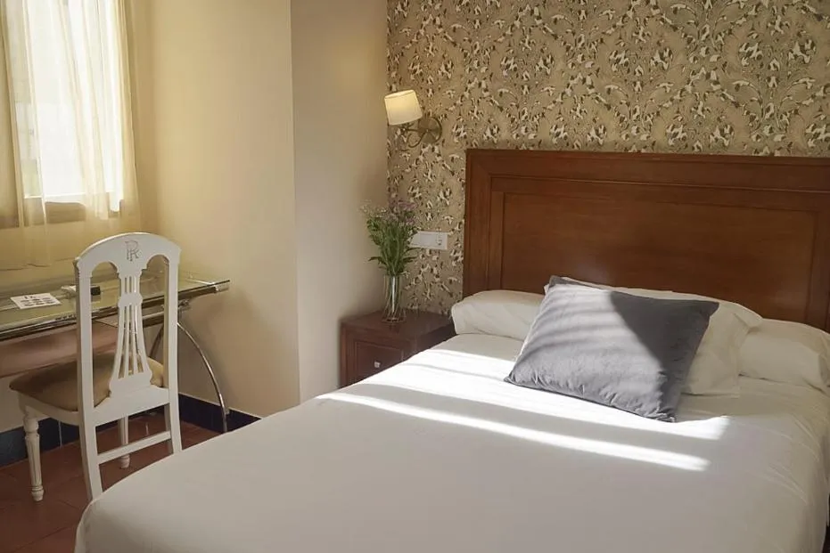 Single Room in Hotel Rosaleda Don Pedro