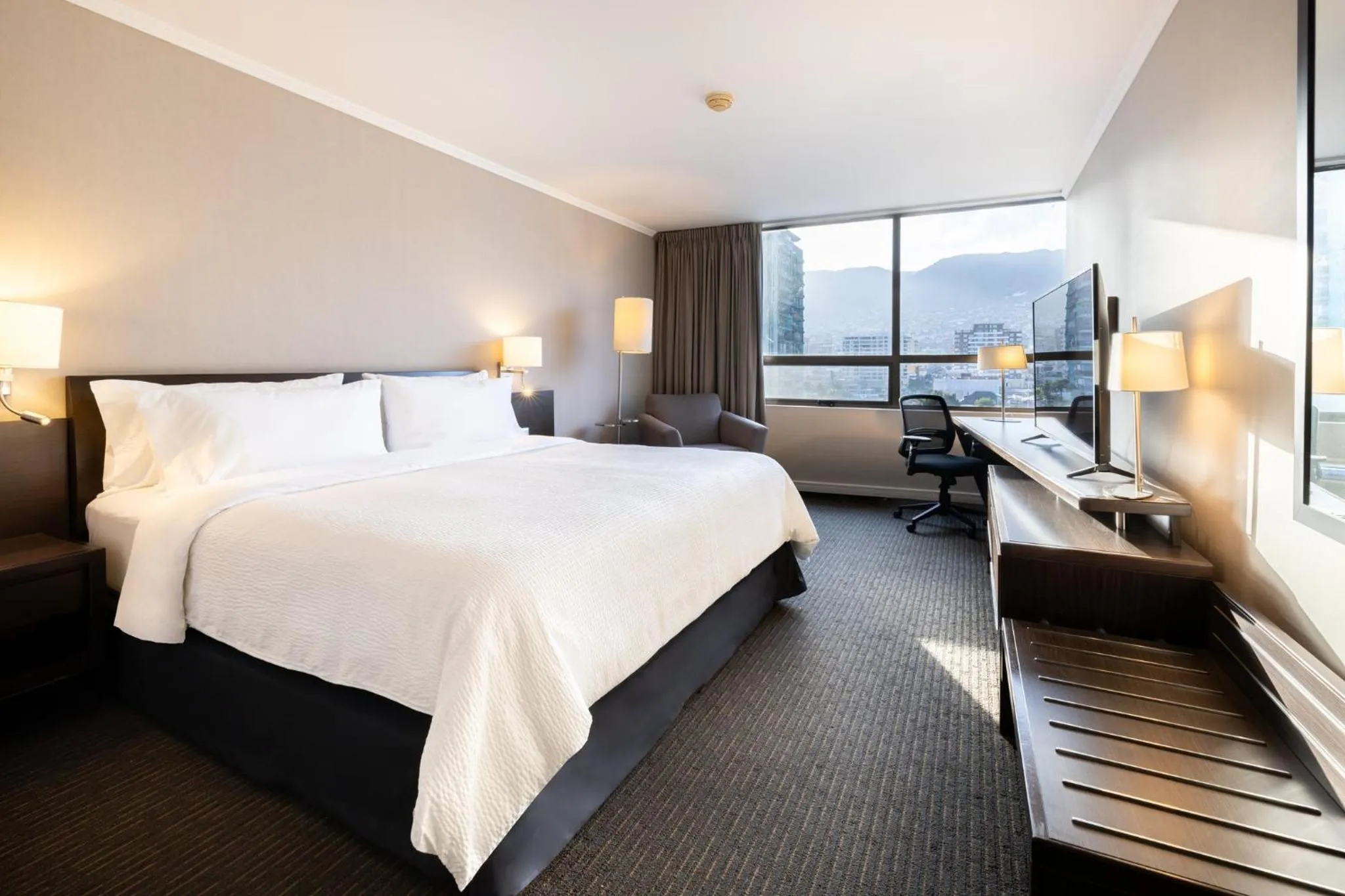 Standard King Room in Holiday Inn Express - Antofagasta by IHG