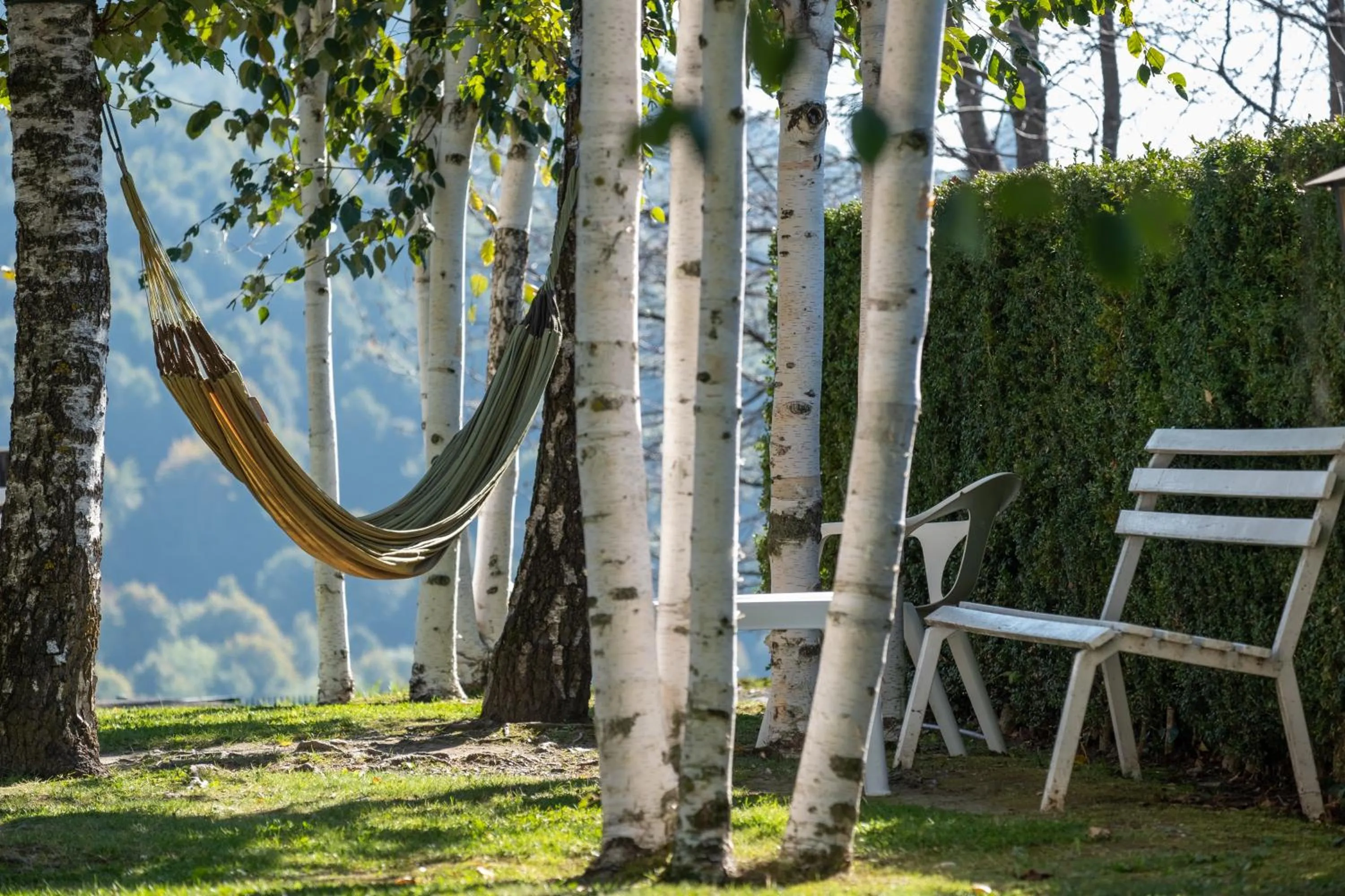 Family Room in Hotel Calitxo