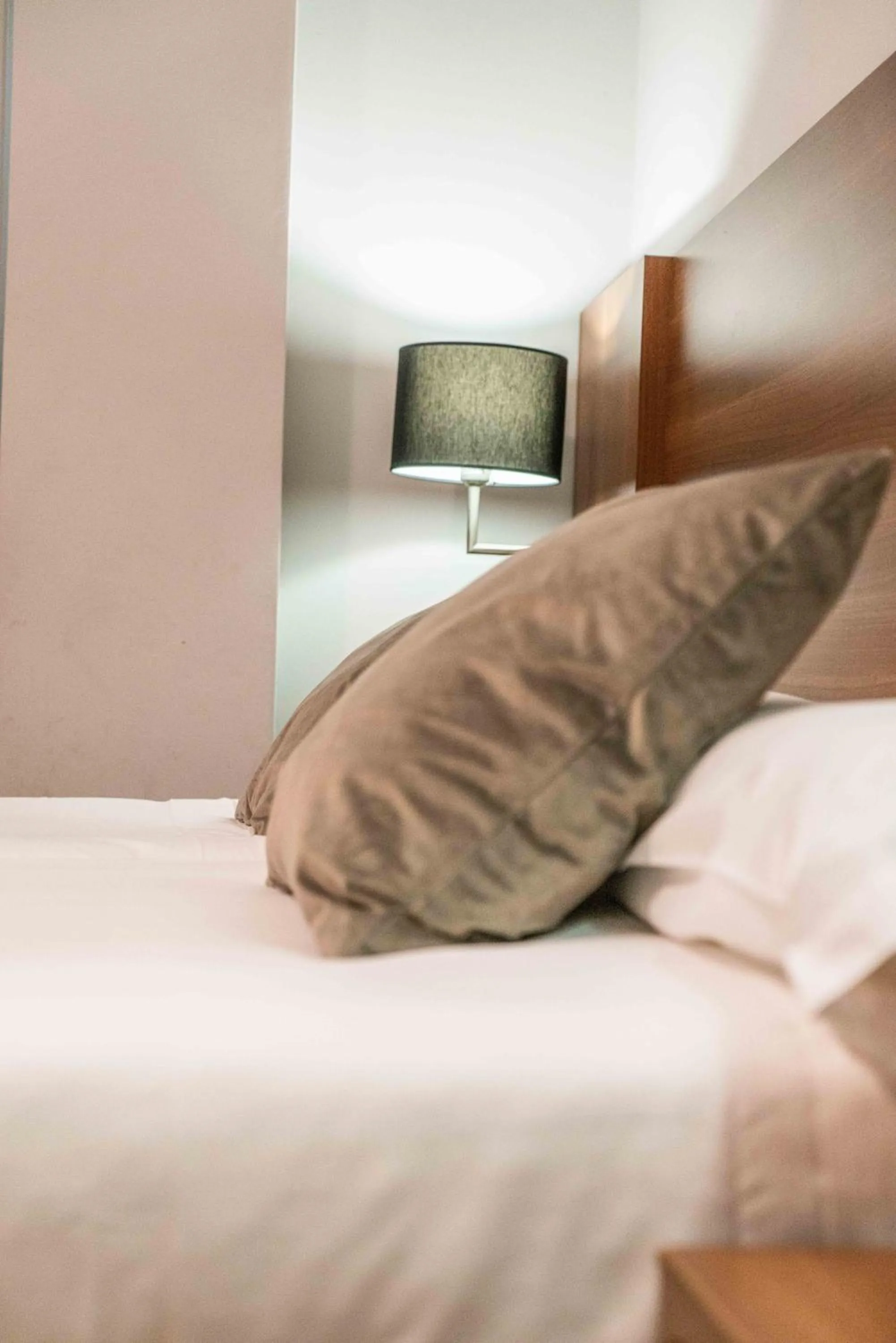 Single Room in BS Principe Felipe