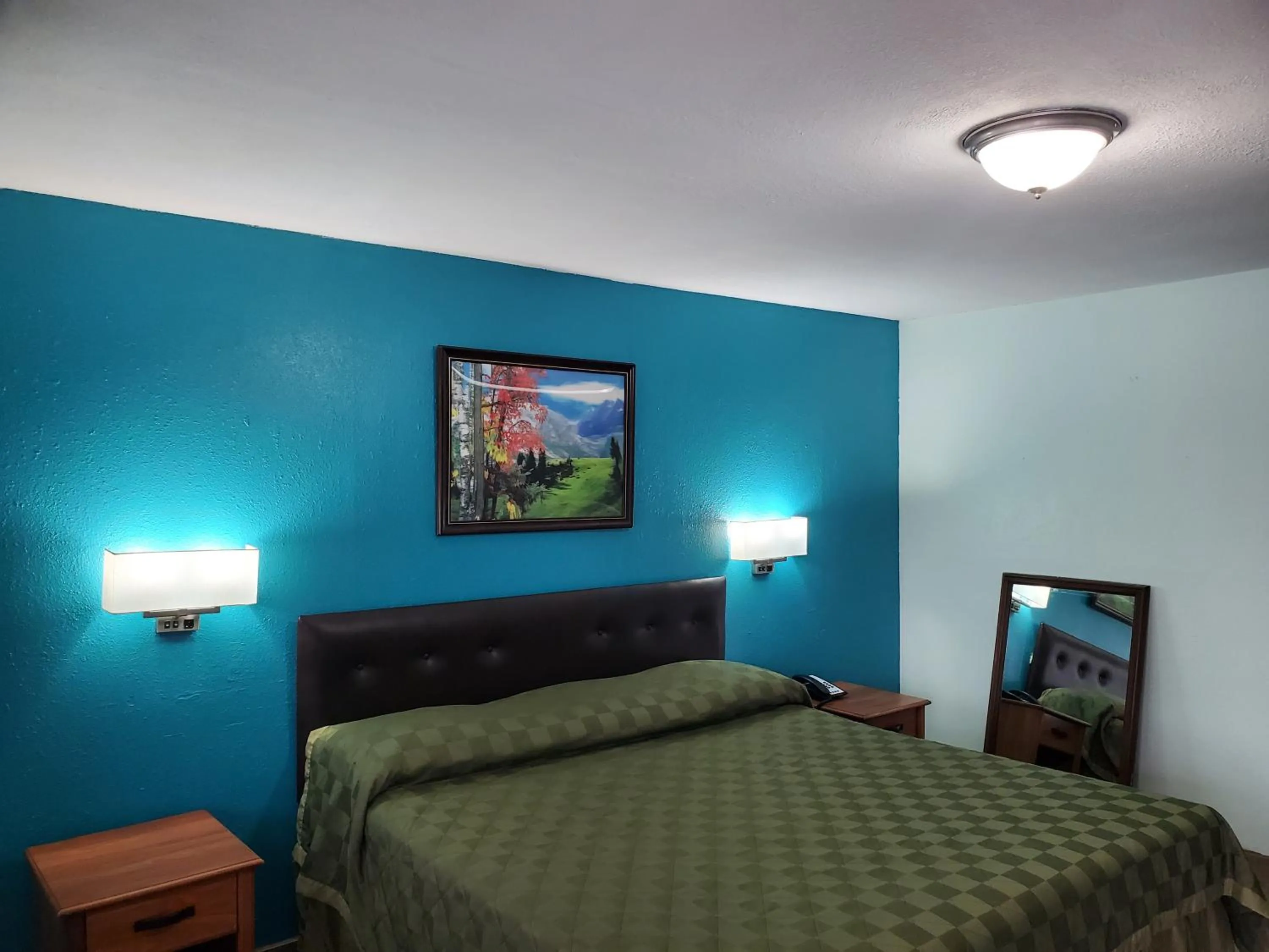 Deluxe Single Room in Budget Inn