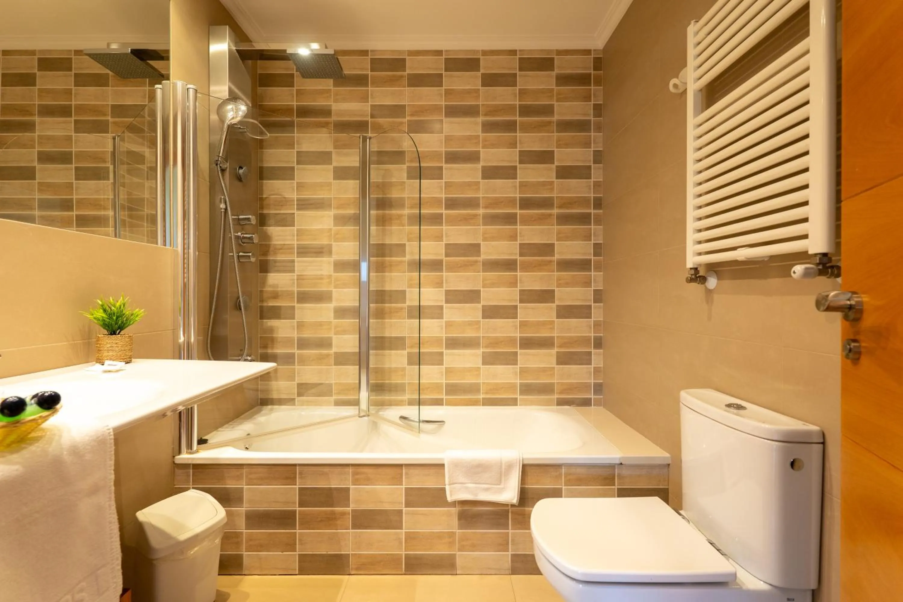 One-Bedroom Apartment with Sofa Bed (4 Adults) in Miracielos