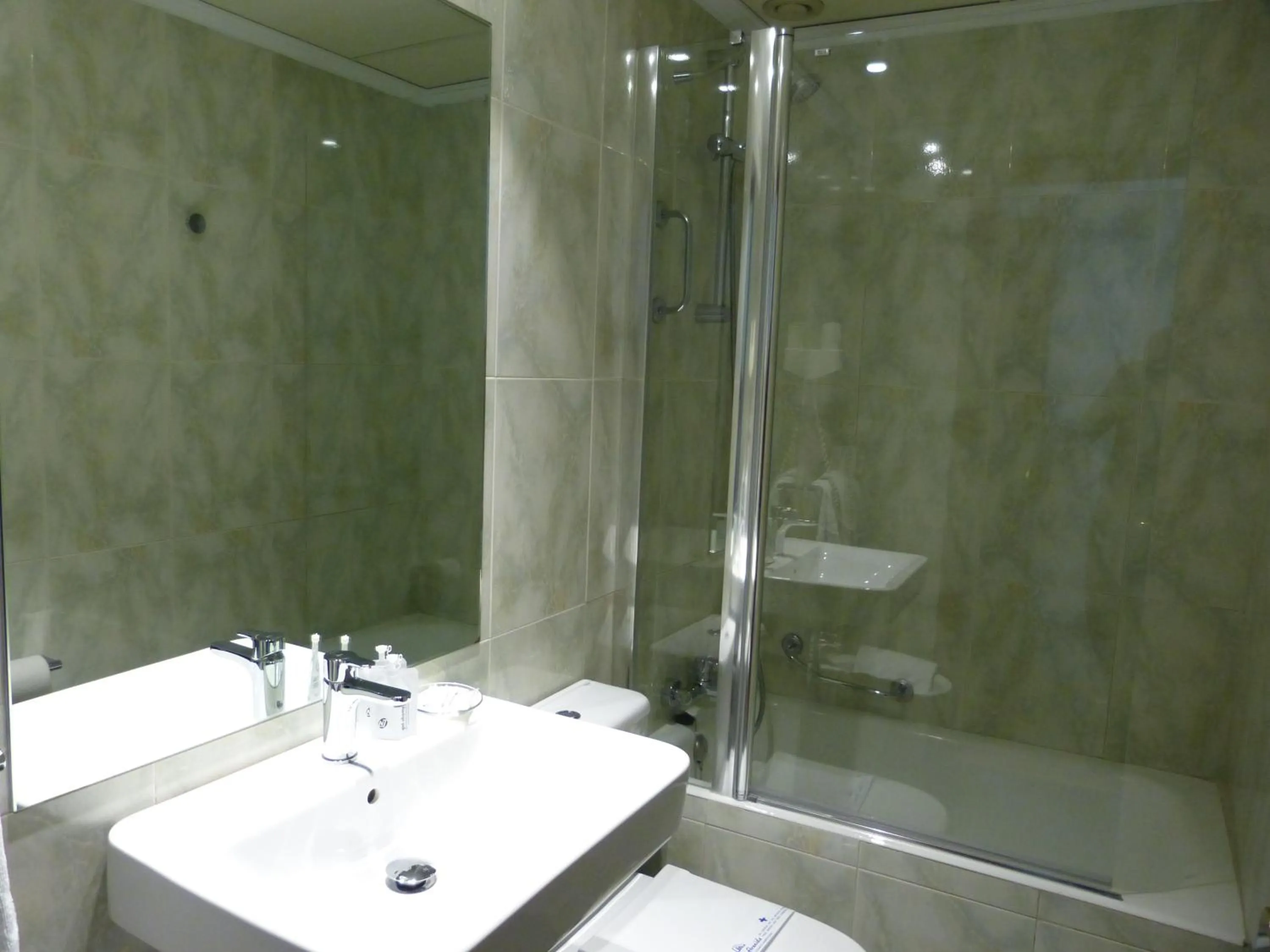 Standard Double Room - Not renovated in Hotel Avenida