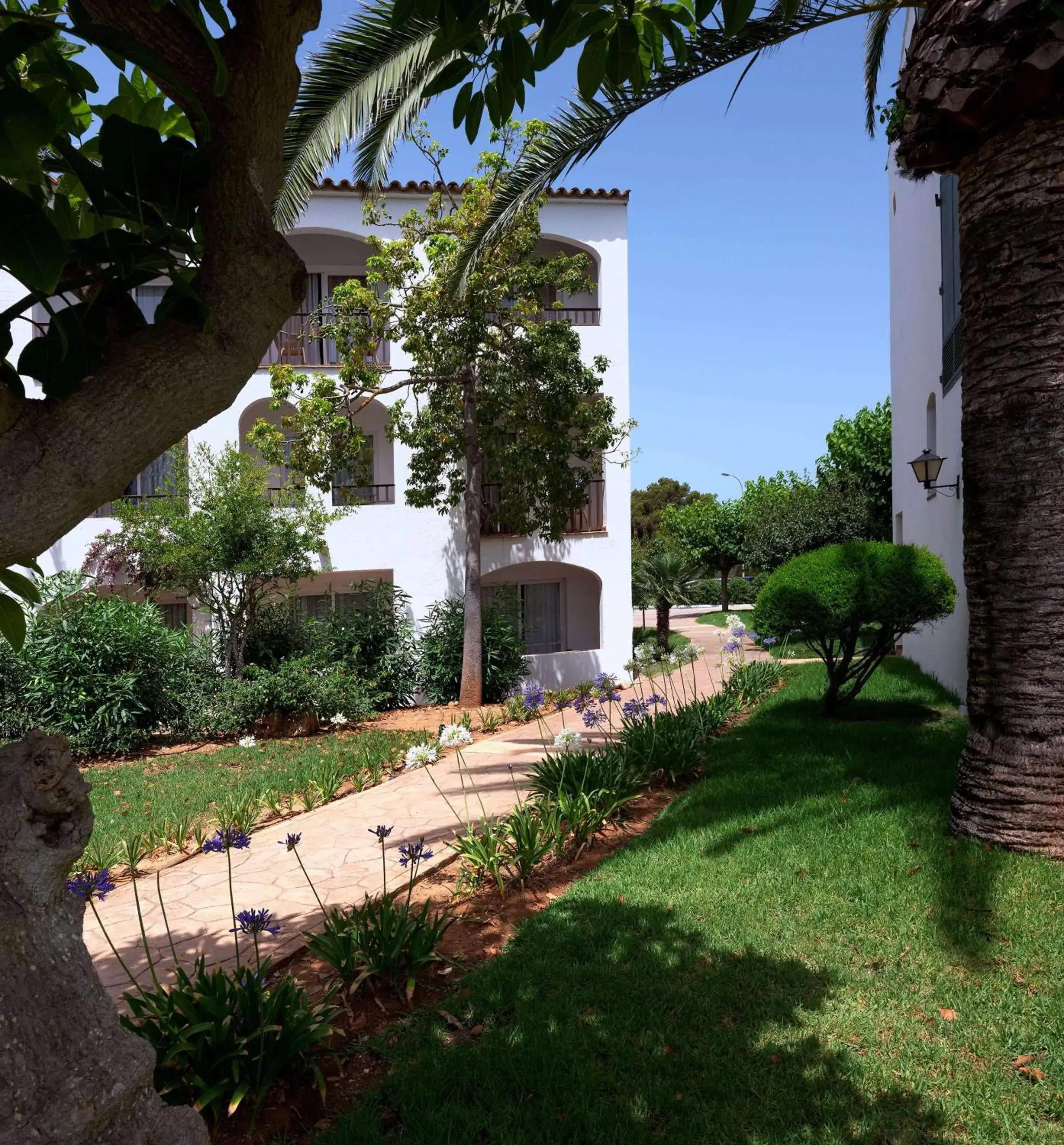 Sol Falco Menorca Sol Falco Menorca