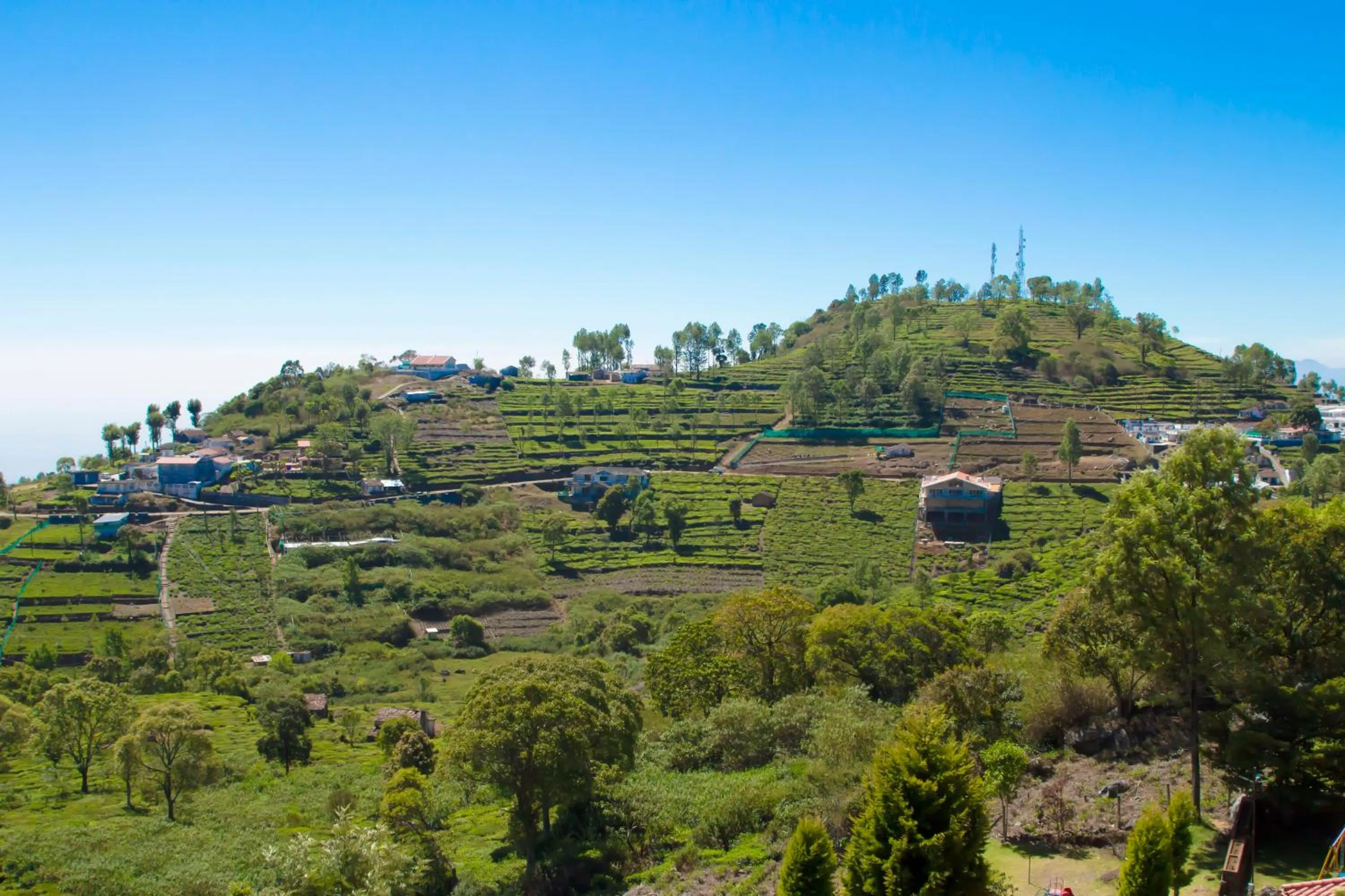 Deluxe Suite in The Royale Ridge