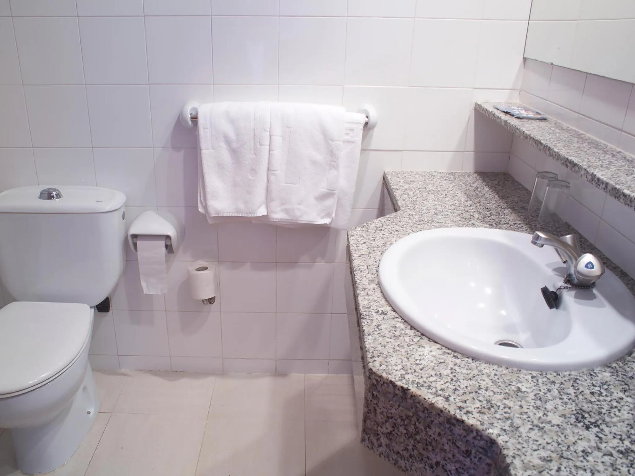 Basic Twin Room Without Balcony in Hotel Els Pins