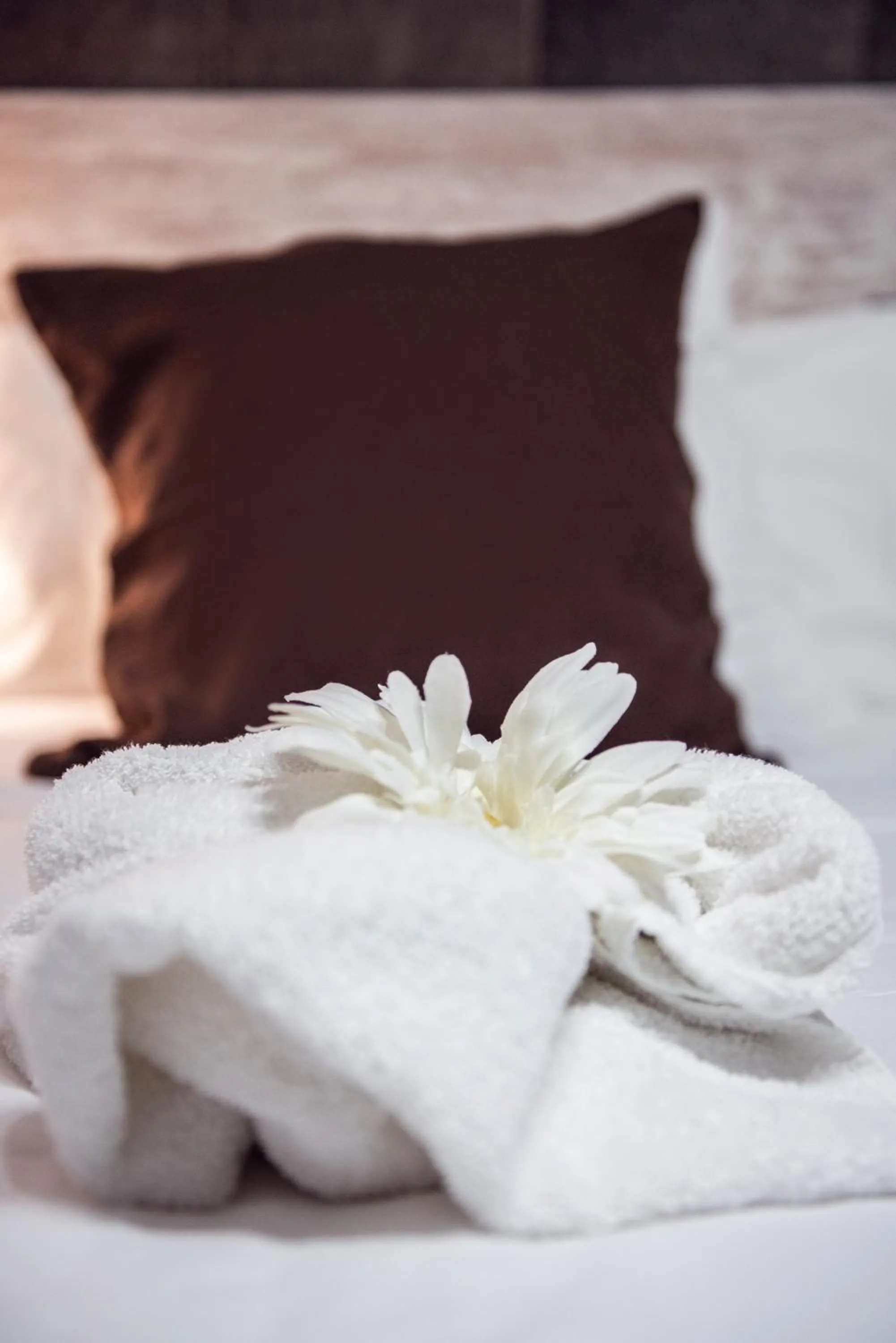 Triple Room in Hotel Ancora