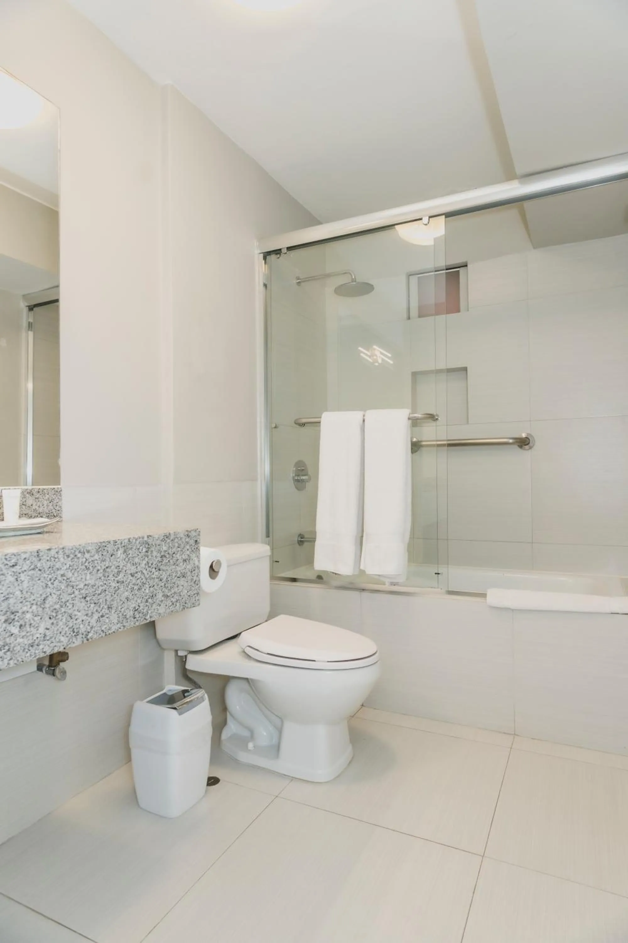 Premium King Room in ARTE HOTEL Lima