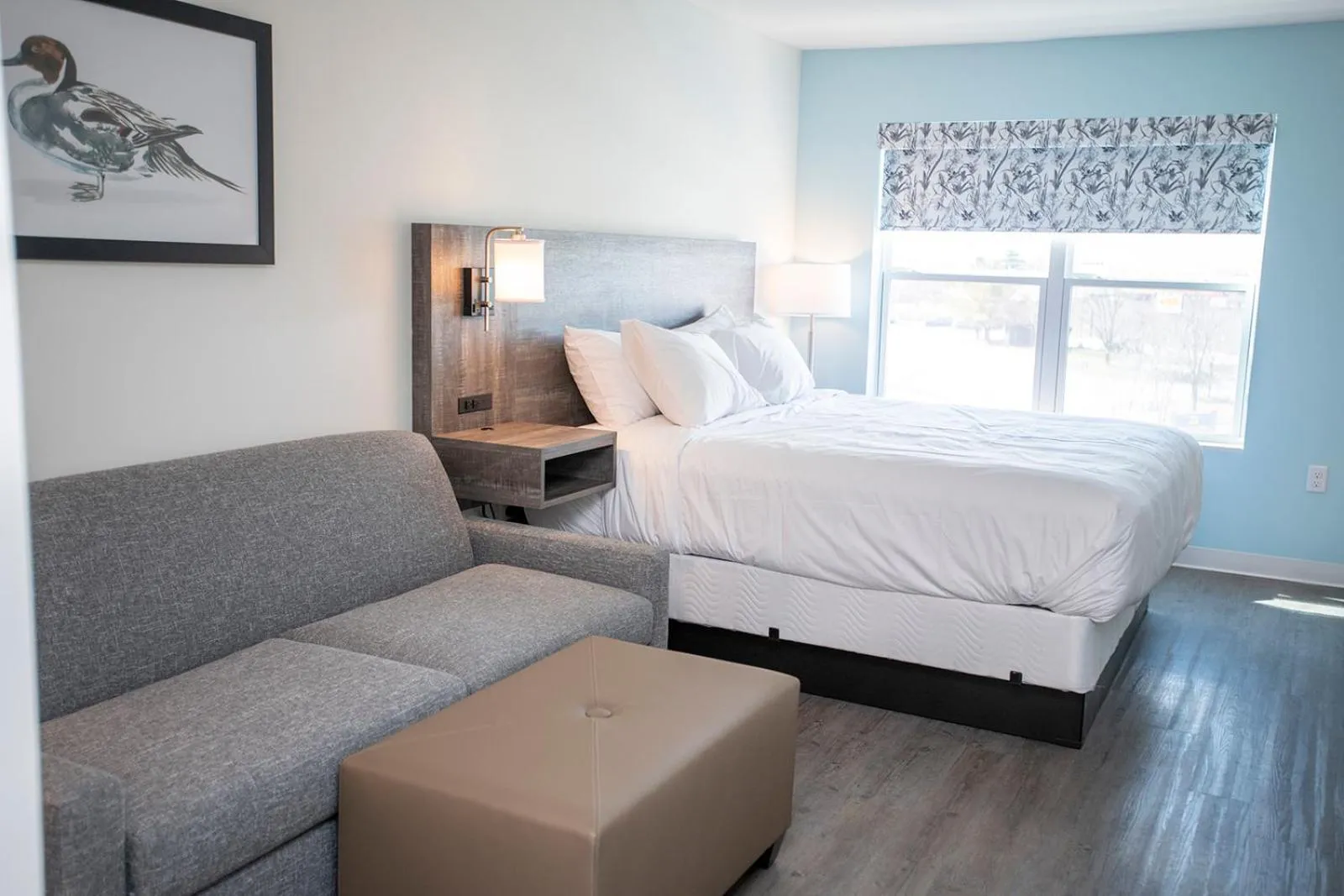 Deluxe King Suite in THE NEST