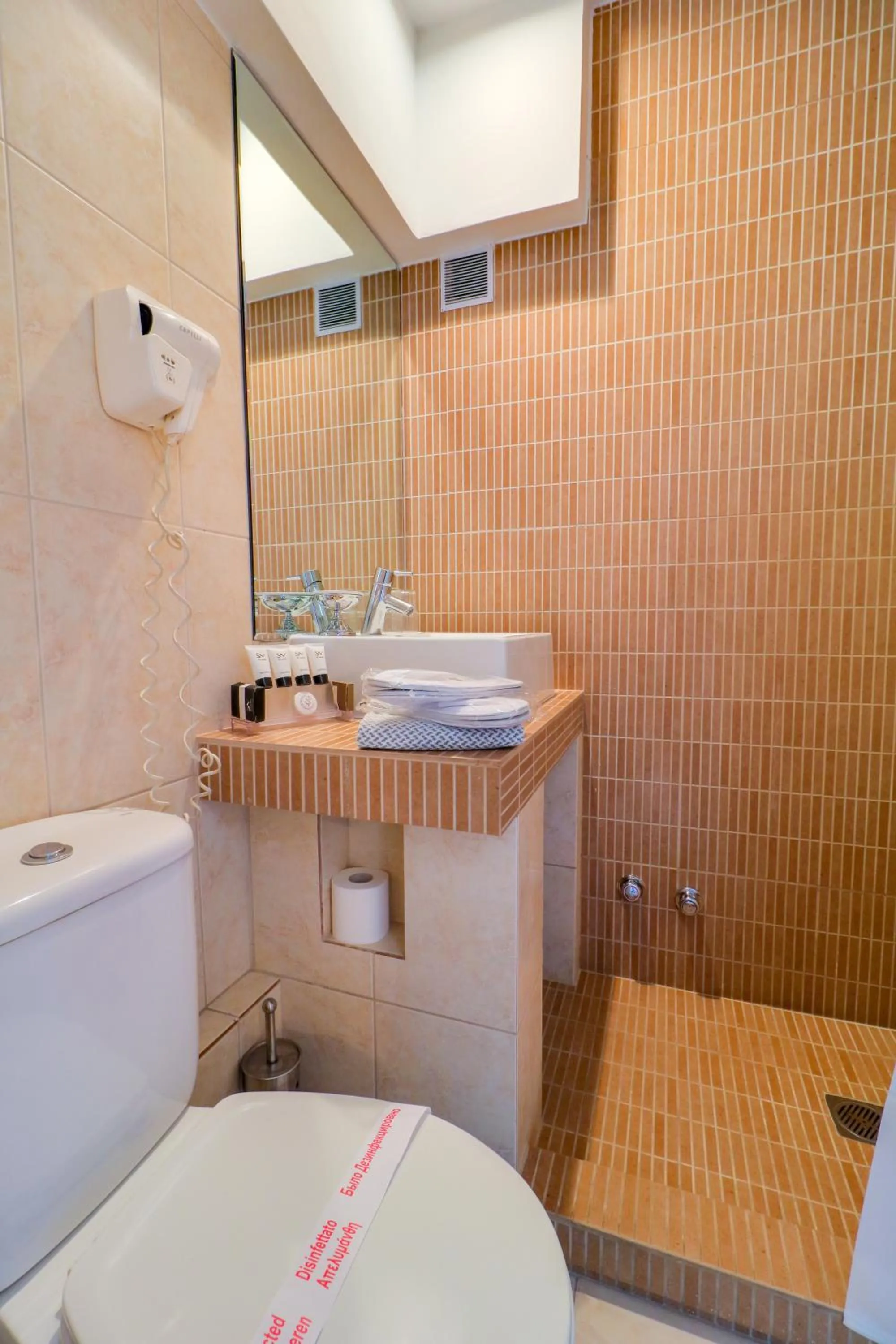 Economy Single Room in Palace Hotel Glyfada