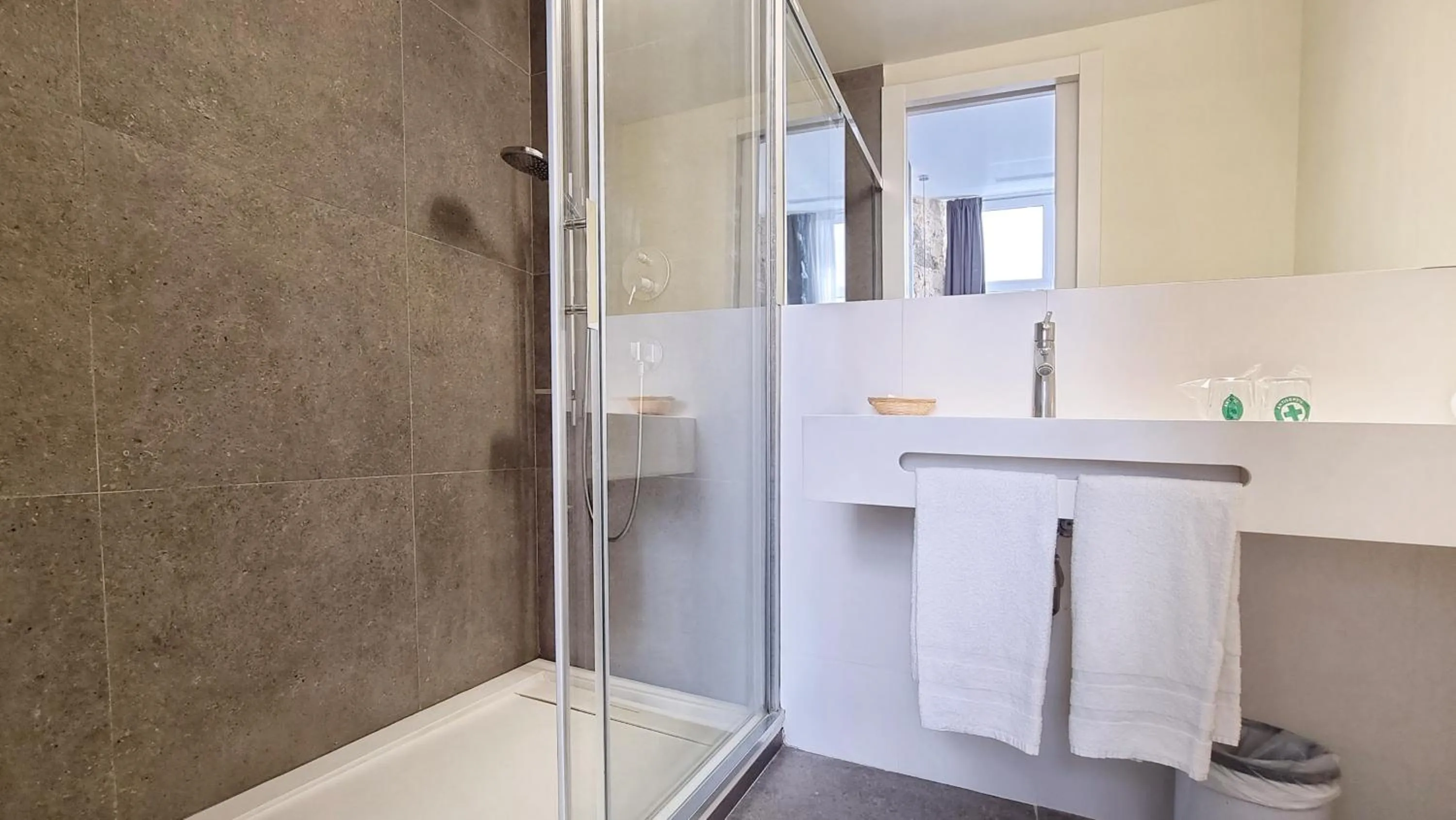 Interior Double or Twin Room with Patio  in Hotel Sant Agustí