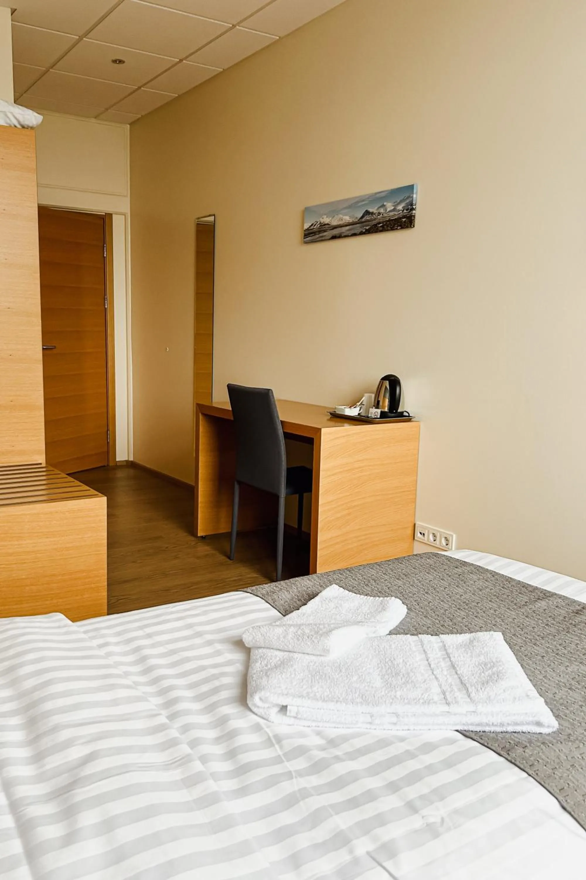 Double or Twin Room with Private Bathroom in Hotel Jökull