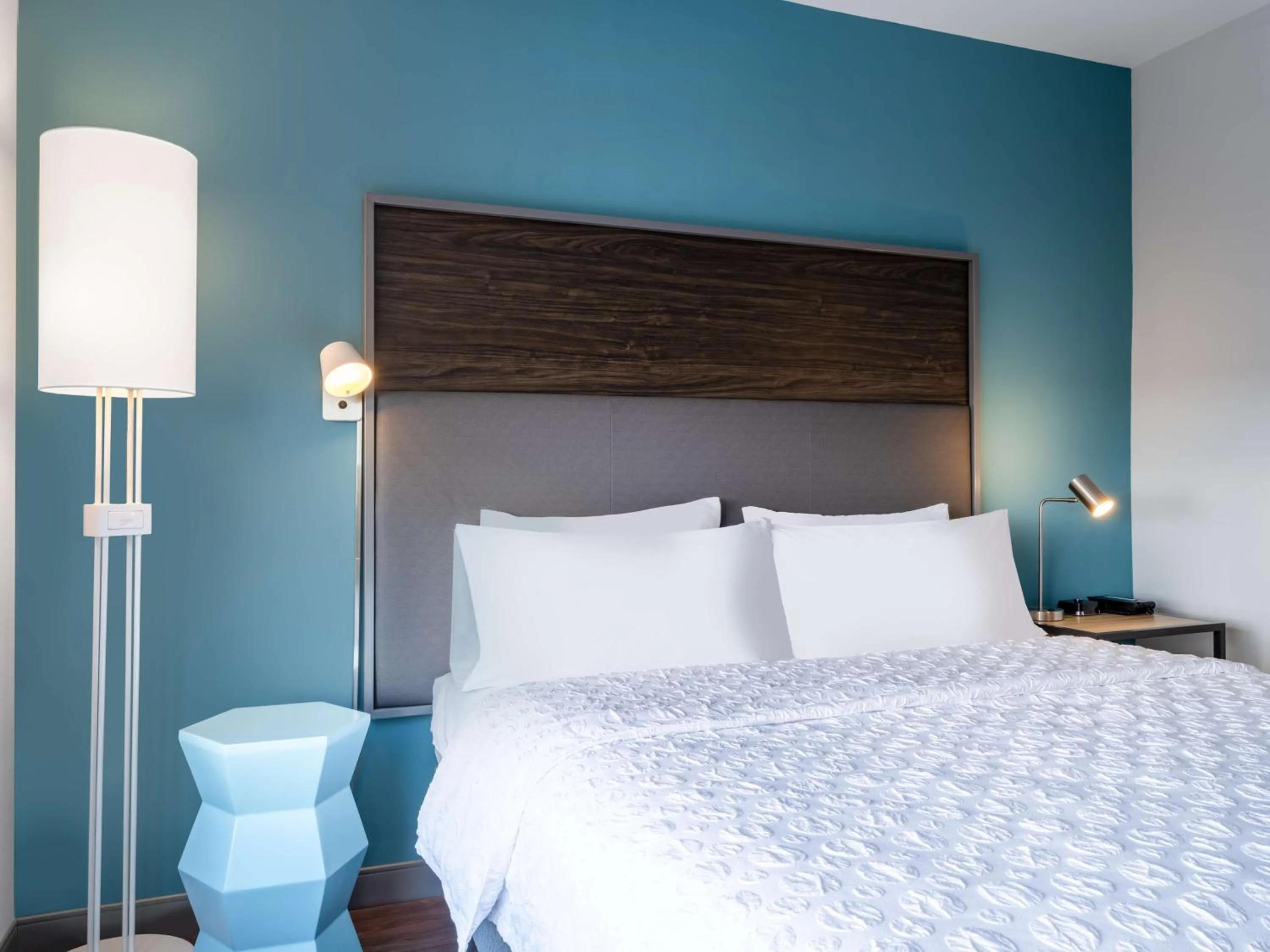 King Room with Walk-In Shower in Tru By Hilton Chesapeake- Greenbrier